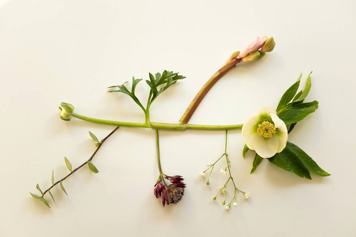 Winter seasonal blooms bouquet with hellebores and dried grasses