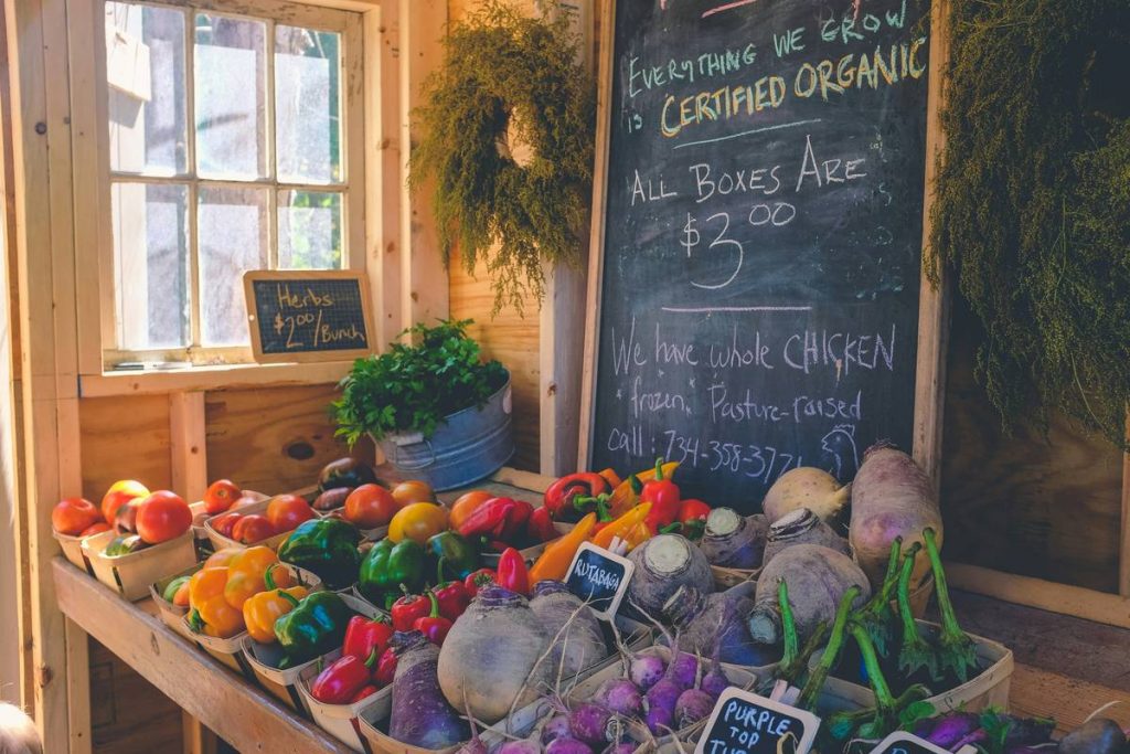 Why Sustainable Floral Gift Sets Are the Future of Thoughtful Giving